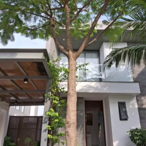 Villa 92 Sanctuary Hồ Tràm 3pn 3bed 3wc